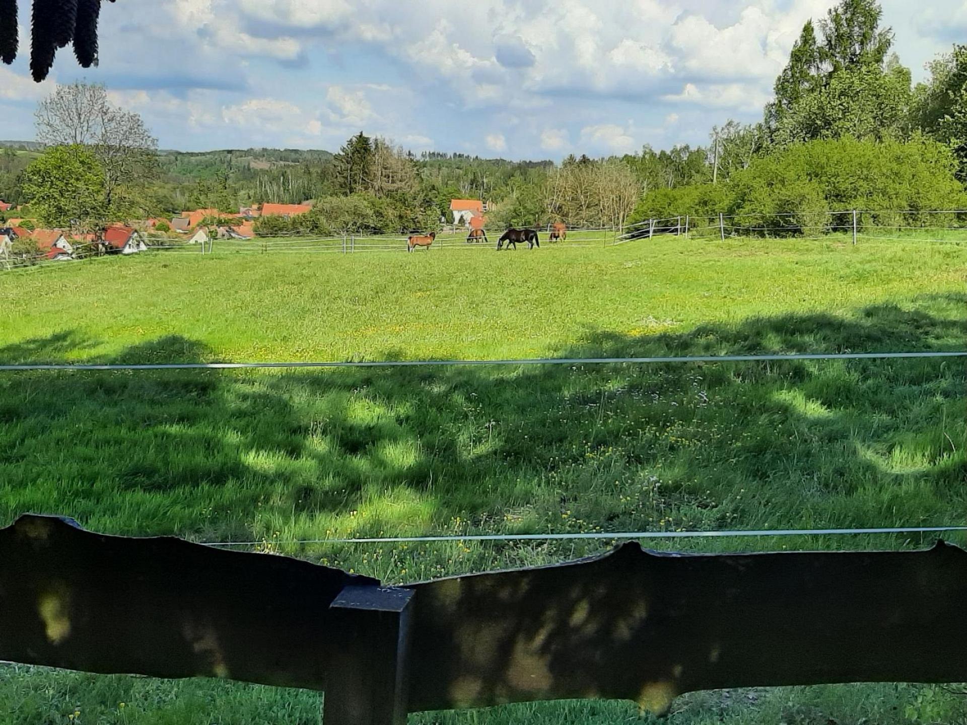 Ferienhaus Harz-Auszeit Foto 25